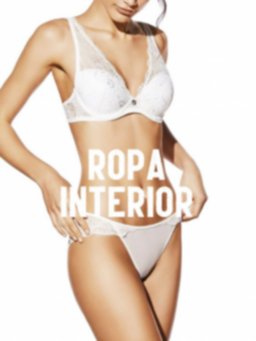 ropa interior al mejor precio sujetadores bragas fajas shein.jpg